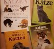 Ratgeber Garten Schön 4 Katzenbücher Ratgeber Witzige Katzen Buch In Berlin