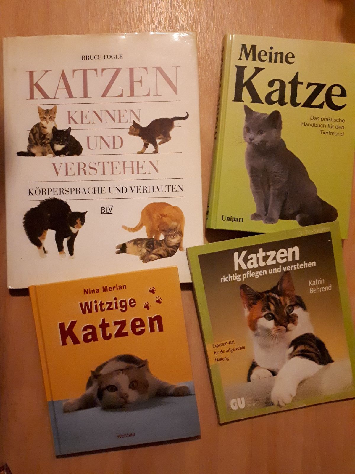 Ratgeber Garten Schön 4 Katzenbücher Ratgeber Witzige Katzen Buch In Berlin