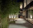 Reihenhaus Gartengestaltung Best Of Einfamilienhaus Uetliburg atrium Gartengestaltung Bambus