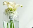 Reihenhausgarten Ideen Neu 23 Popular Vase with Flowers In Water