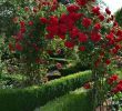 Romantische Gartendeko Inspirierend Victorian Rose Arch Kiftsgate by Classic Garden Elements