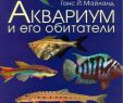 Rost Deko Schön Mayland Akvarium I Ego Obitateli by Anatoly Sergeev issuu