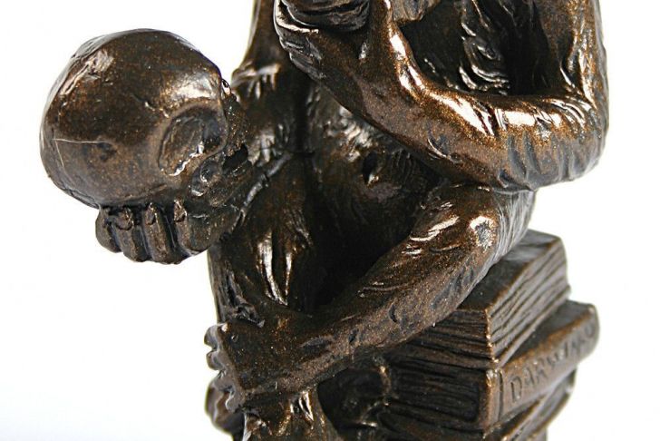 Rost Skulptur Garten Elegant Pocket Art Rheinhold Monkey with Skull Philosophizing