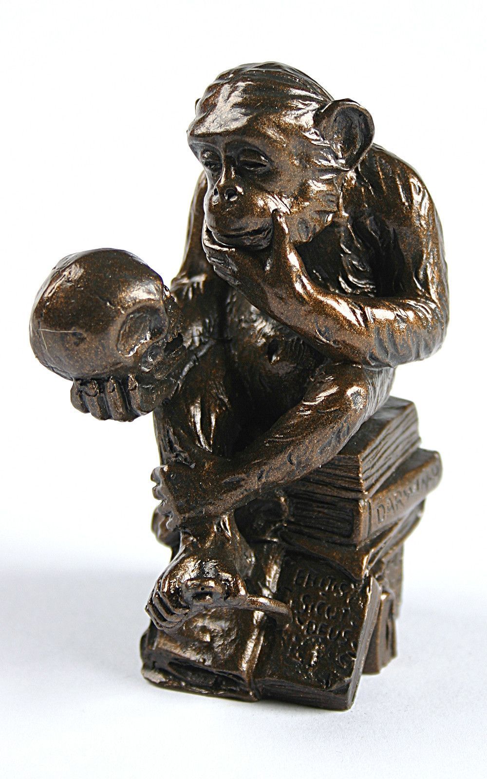 Rost Skulpturen Inspirierend Pocket Art Rheinhold Monkey with Skull Philosophizing