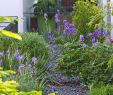 Rostartikel Für Garten Genial Gartenblog Zu Gartenplanung Gartendesign Und