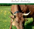 Rostfiguren Tiere Genial Hörnerdörfer Aktuell Mai 2017 by Hörnerdörfer Im Allgäu