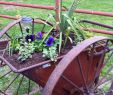 Rostige Gartendeko GroÃŸhandel Neu Rost Deko Garten Garten Mode Wunderschön Und