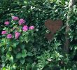 Rostige Gartendeko Selbstgemacht Inspirierend âï¸schönes Wochenendeâï¸ Mygardentoday Garden