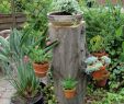 Rostkunst Für Den Garten Luxus Gartenarbeit Ideen Baumstamm Als Blumenständer