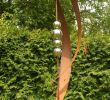 Rostkunst Für Den Garten Luxus Gartendeko Shop Garten Skulptur Rost Mit 4 Edelstahlkugeln