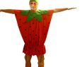SÃ¼ÃŸe KostÃ¼me Damen Frisch Erdbeer Kostüm to77 Gr M Xl Erdbeer Kostüme Erdbeeren