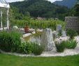 SchÃ¶ne GÃ¤rten Gestalten Genial Teich Grüne Pflanzen Und Steine Für Eine Schöne Garten