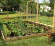 SchÃ¶ne GÃ¤rten Gestalten Neu 30 Gartengestaltung Ideen – Der Traumgarten Zu Hause