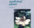 SchÃ¶ne Gartengestaltung Einzigartig Plantas Medicinales by Jannet Cao issuu