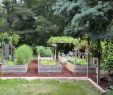 SchÃ¶ne Moderne GÃ¤rten Frisch 30 Gartengestaltung Ideen – Der Traumgarten Zu Hause