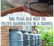 Schlauch Garten Gestalten Best Of 100 Year Old Way to Filter Rainwater In A Barrel if You