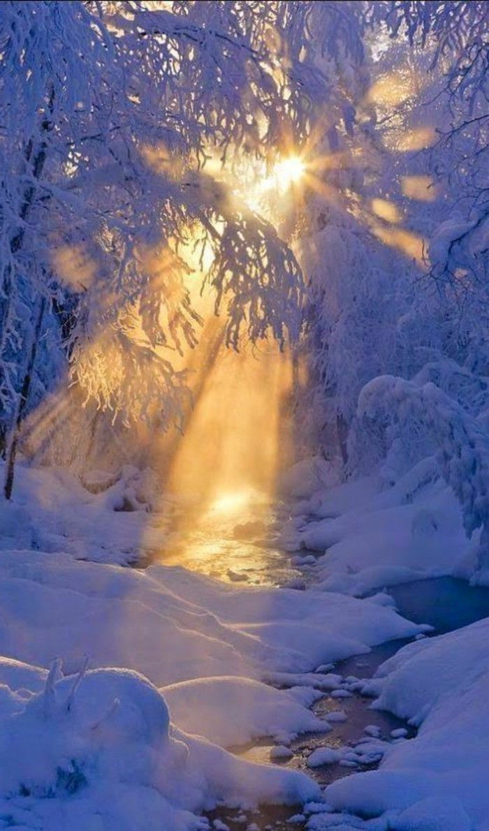 Winterimpression Sonnenschein im Wald alles in Schnee