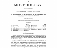 Schönes Aus Holz Selber Machen Einzigartig Vertebrate Cephalogenesis Ii A Contribution to the