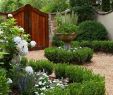 Schrebergarten Gestaltungsideen Einzigartig Die 316 Besten Bilder Von Pflanzen Terrasse & Garten