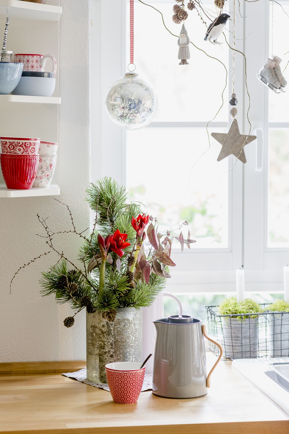 Sehr Kleiner Garten Ideen Frisch Kleine Amaryllis Für Weihnachtsdeko In Der Küche