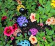 Selbstgemachte Gartendeko Inspirierend 17 Stein Gemalt Für Perfekte Gartenverzierung Dekorations