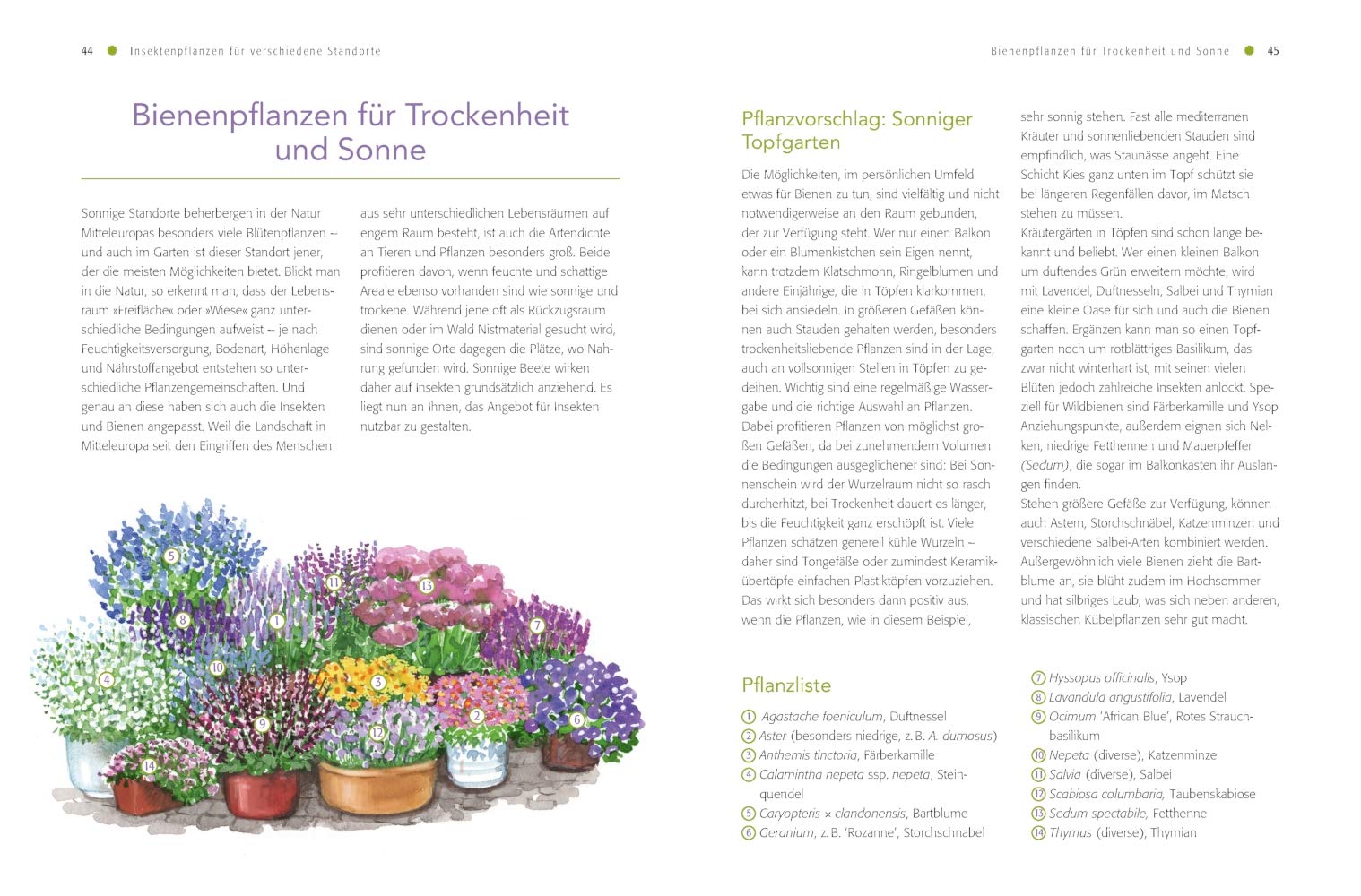 Shop Mein Schoener Garten De Heft Angebote Frisch Bienenfreundlich Gärtnern Pflanzideen Für Alle Standorte