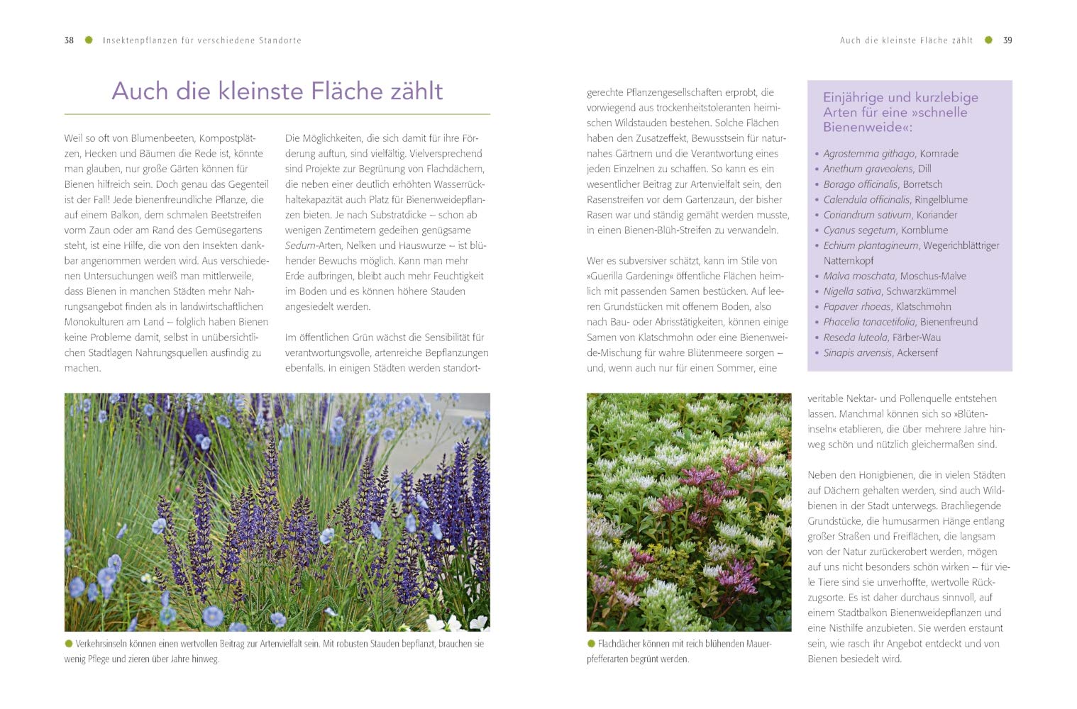 Shop Mein Schoener Garten De Heft Angebote Schön Bienenfreundlich Gärtnern Pflanzideen Für Alle Standorte