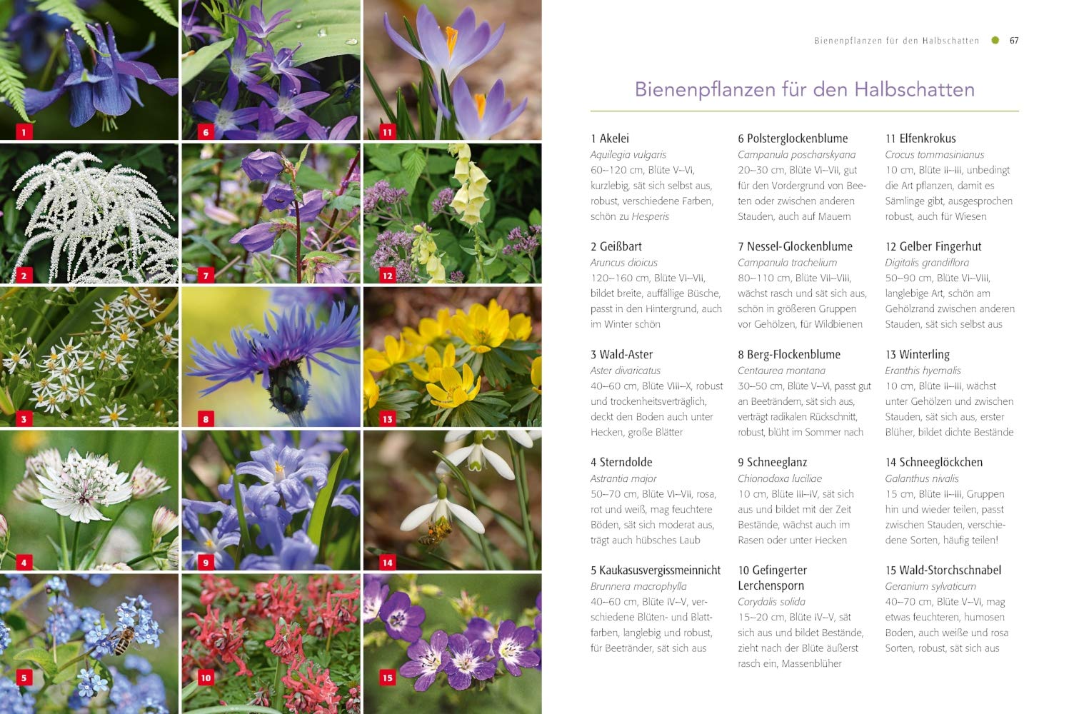 Shop Mein Schoener Garten De Heft Angebote Schön Bienenfreundlich Gärtnern Pflanzideen Für Alle Standorte