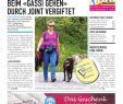 Shop Mein Schoener Garten De Heft Angebote Schön R1 Epaper Effretikon 19 12 2019