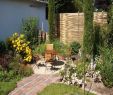Sichtschutz Für Kleine Gärten Best Of Gartengestaltung Kleine Garten