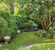 Sichtschutz Für Kleine Gärten Frisch Gartengestaltung Kleine Garten