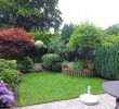Sichtschutz Für Kleine Gärten Genial Gartengestaltung Kleine Garten