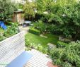 Sichtschutz Für Kleine Gärten Neu Gartengestaltung Kleine Garten