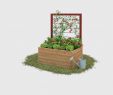 Sichtschutz Garten Selber Bauen Einzigartig Hochbeet Alfred Mit Rankhilfe Selber Bauen Gartenmöbel