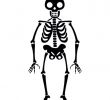 Skelett Halloween KostÃ¼m Genial Halloween Skelett