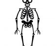 Skelett Halloween KostÃ¼m Genial Halloween Skelett
