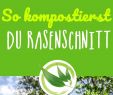 Sonnenglas Selber Bauen Schön Die 91 Besten Bilder Von Garten â¥ Inspiration Im Grünen