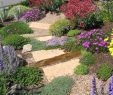 Staudenbeet Ideen Neu Amazing Modern Rock Garden Ideas for Backyard 28