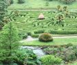 Staudenbeet Ideen Schön Natural Fence Ideas Glendurgan Garden Cornwall Labyrinth