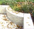 Steine Gartengestaltung Best Of 27 Luxus Garten Landschaftsbau Luxus