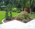 Steine Gartengestaltung Genial 27 Luxus Garten Gestalten Mit Steinen Neu