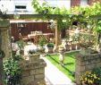 Steine Gartengestaltung Inspirierend Gartengestaltung Bilder Sichtschutz Luxus 45 Einzigartig