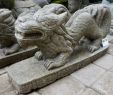 Steinfiguren Garten Einzigartig Chinesischer Drache 75 Cm