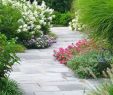 Steingarten Bilder Best Of Kreative Gartenideen Und Bilder Sie Zur Gartenarbeit