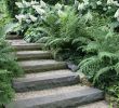 Steingarten Bilder Elegant Stone Steps Summer Cottage Landscaping