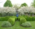StrÃ¤ucher FÃ¼r Den Garten Best Of Gartengestaltung Ideen – top 10 Bäume Für Kleine Gärten