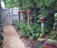StrÃ¤ucher FÃ¼r Den Garten Elegant 80 Pflegeleichter Garten Ideen Zum Entlehnen Und Inspirieren
