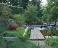 StrÃ¤ucher FÃ¼r Den Garten Inspirierend Moderner Garten Stauden Und Sträucher Für Gute Struktur