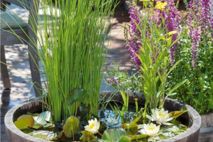 Teich Deko Genial Diy Mini Teich Im topf Und Noch Viele tolle Gartenideen Für