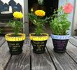 Terracotta Deko Inspirierend Hand Painted Flower Pots for End Of the Year Teacher Ts